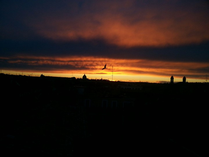 the sunset