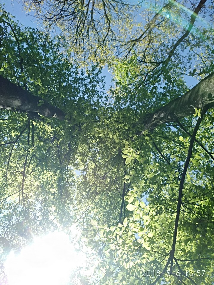 весна
