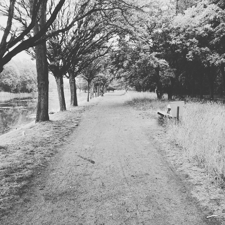 Park