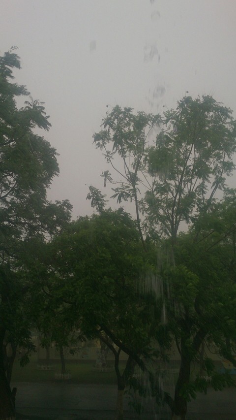 rain