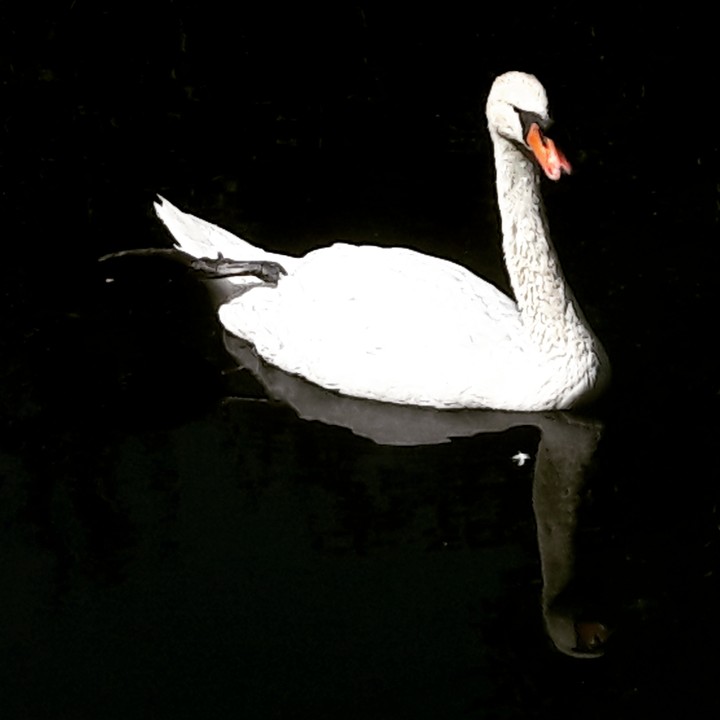 Nature is beautiful