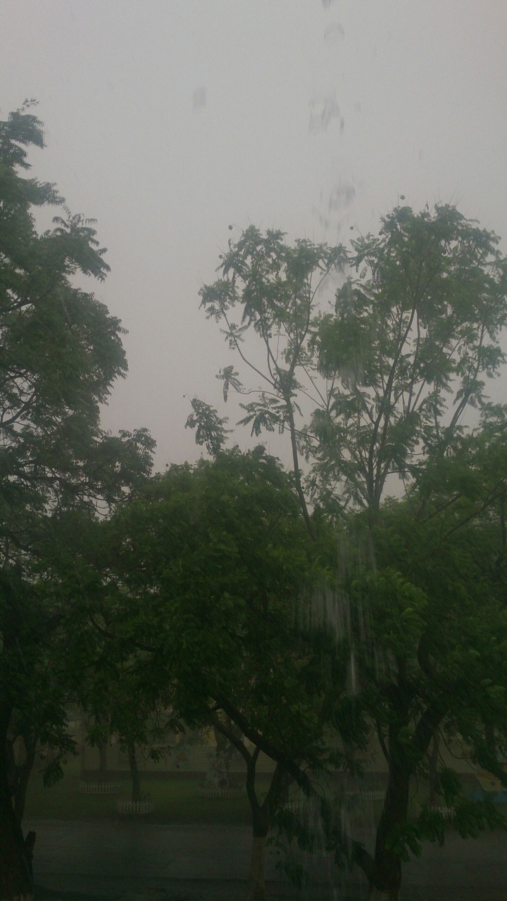 rain