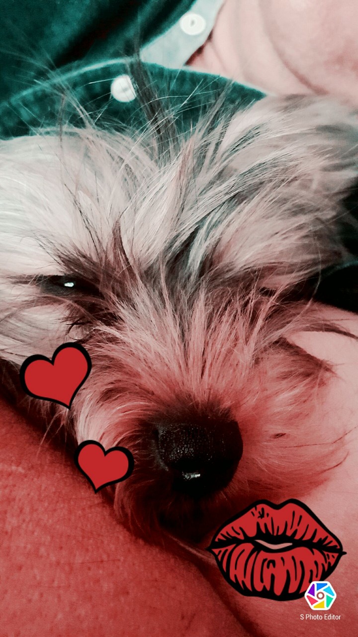 bebita
