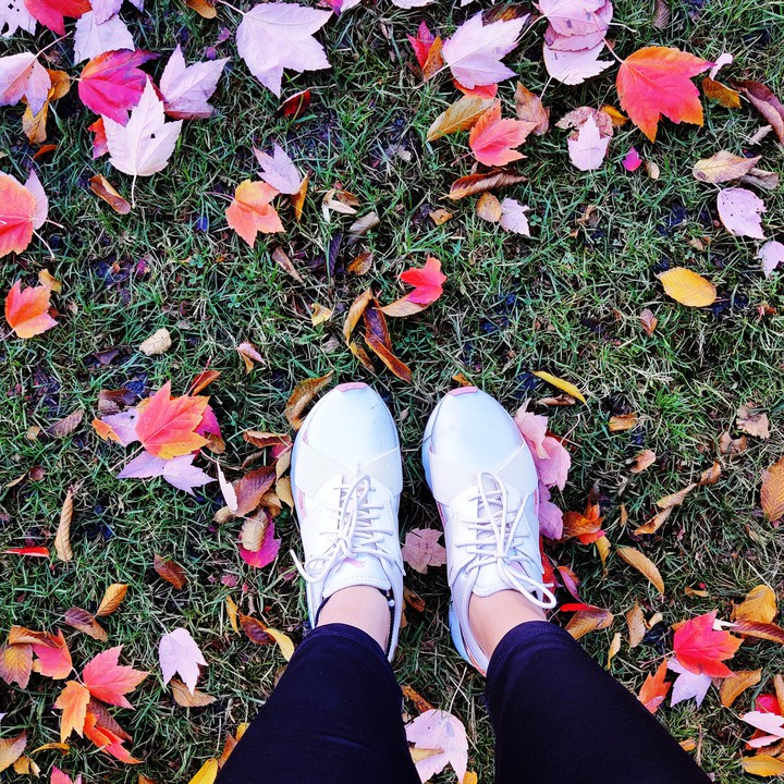 season