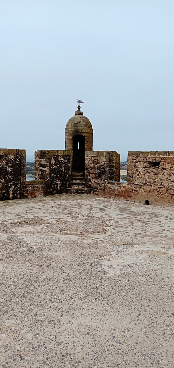 magic mogador