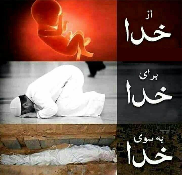 از خدا وبه سوی