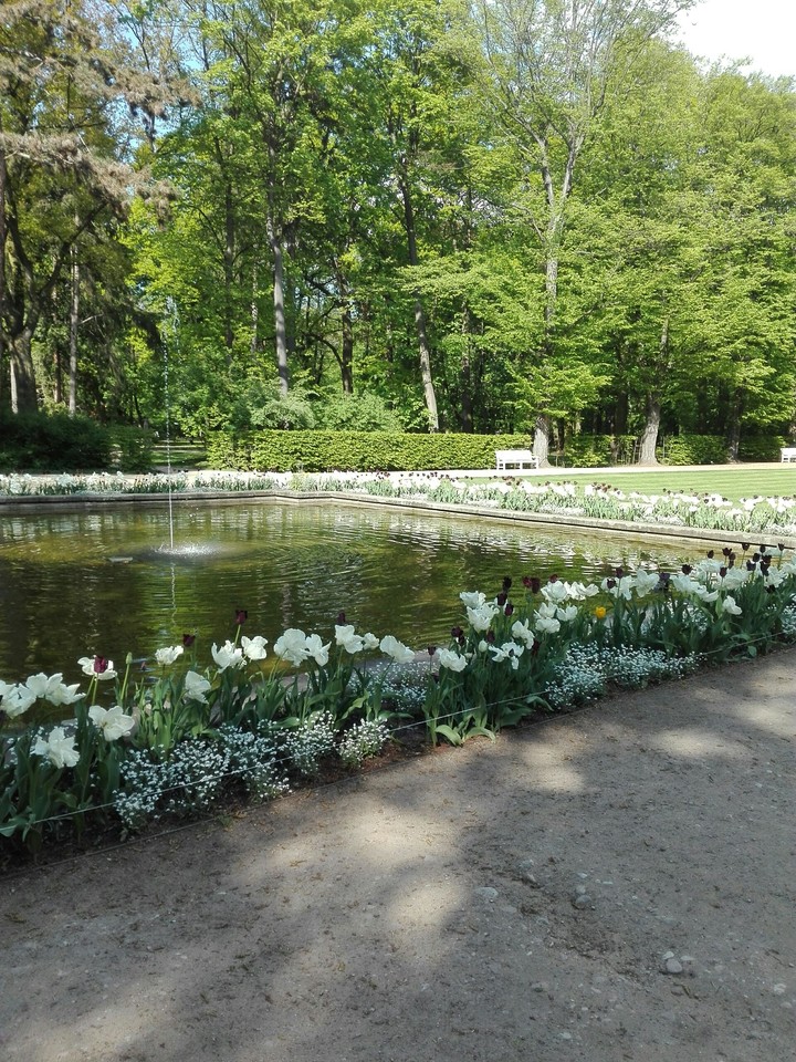Pond and Green