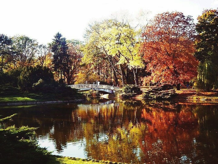 Autumn