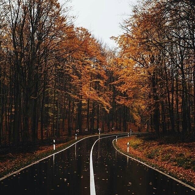 Осень