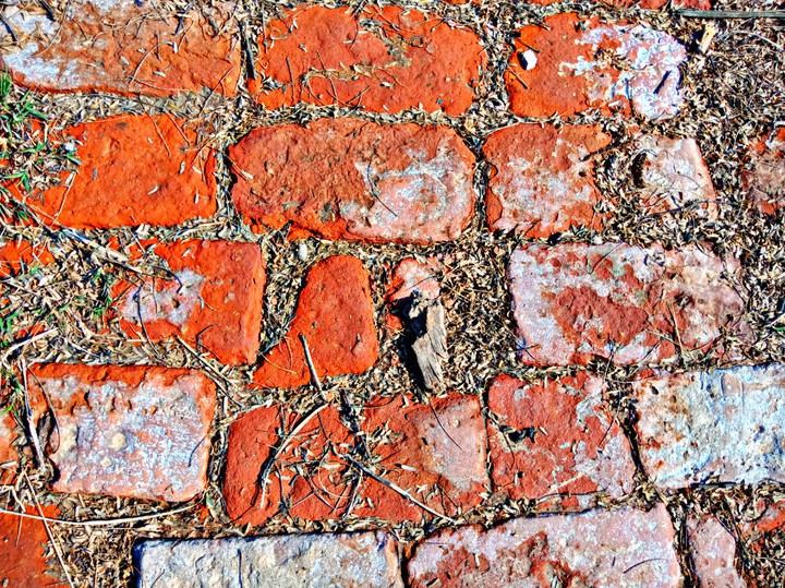 Bricks