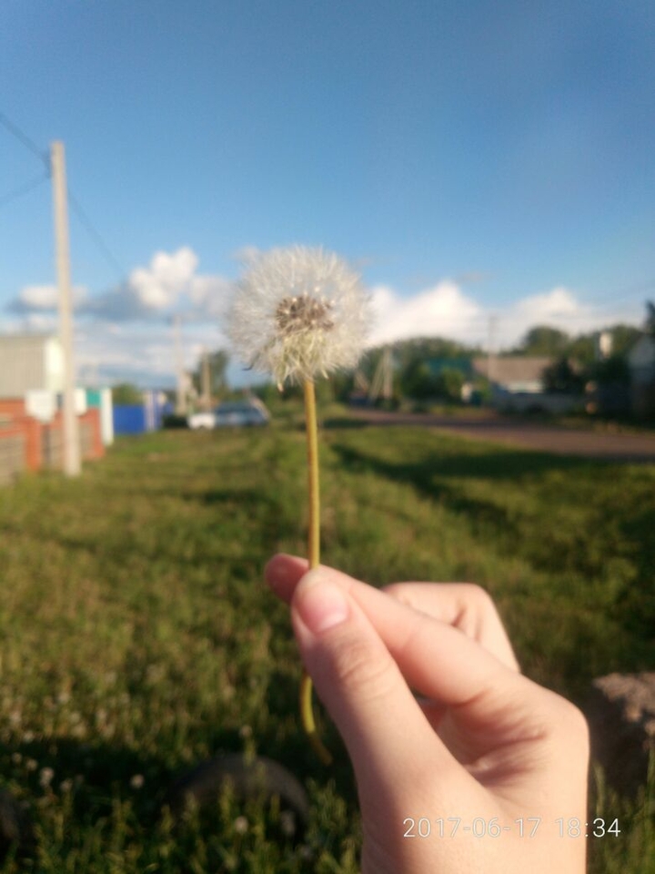Summer 