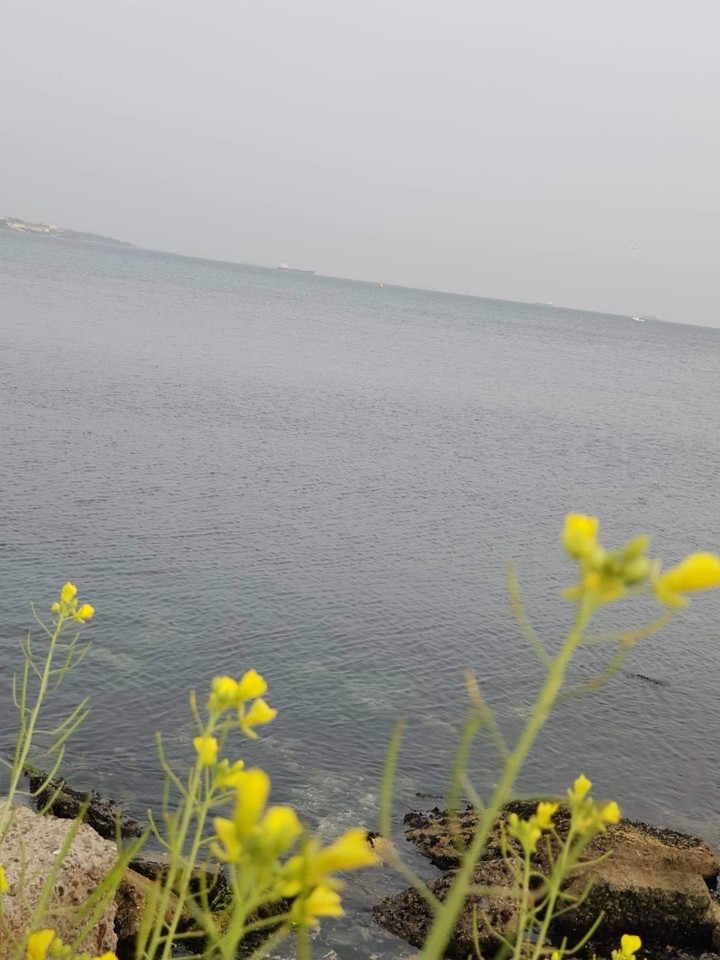 Marmara Deniz