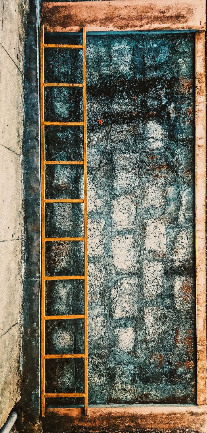 stepbystepforword