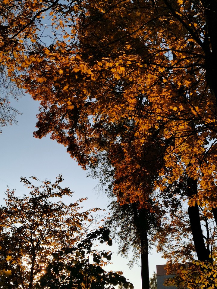 Fall, Minsk, Belarus