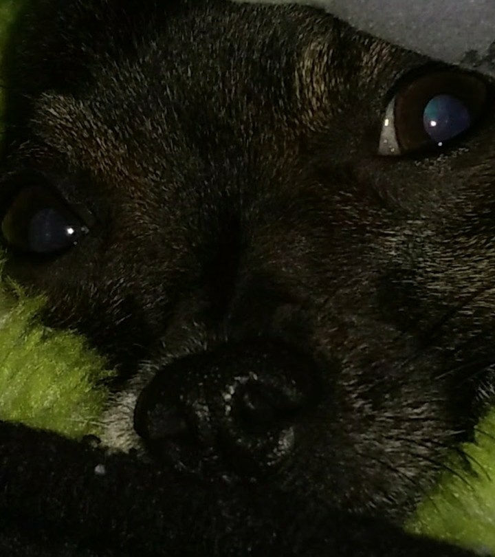Close up