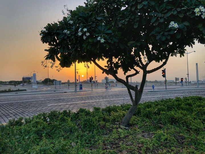 Sunrise