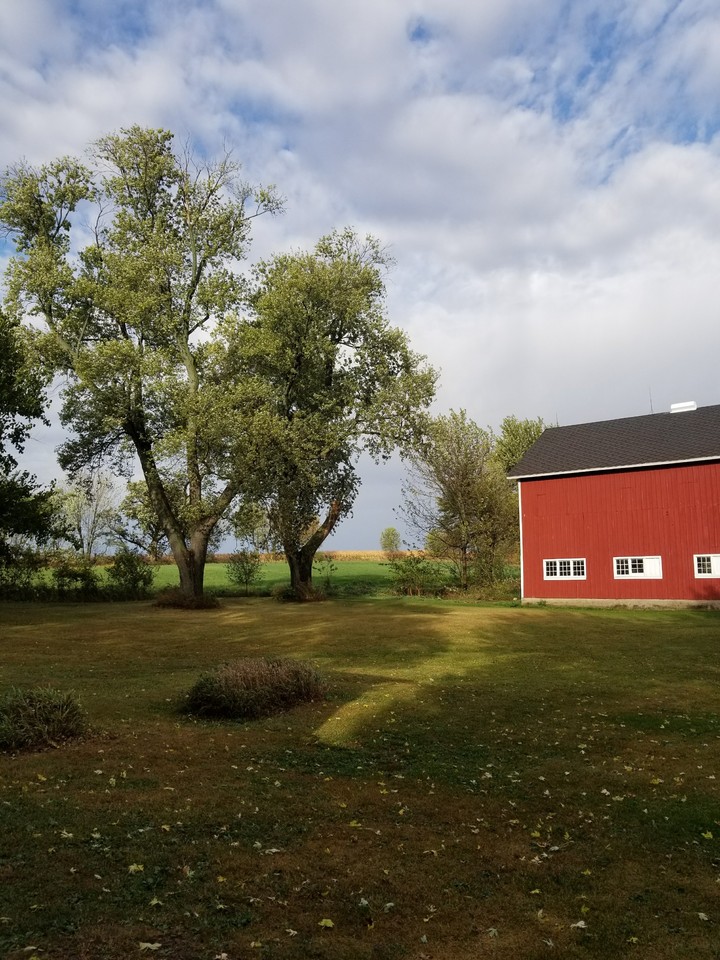 Barn