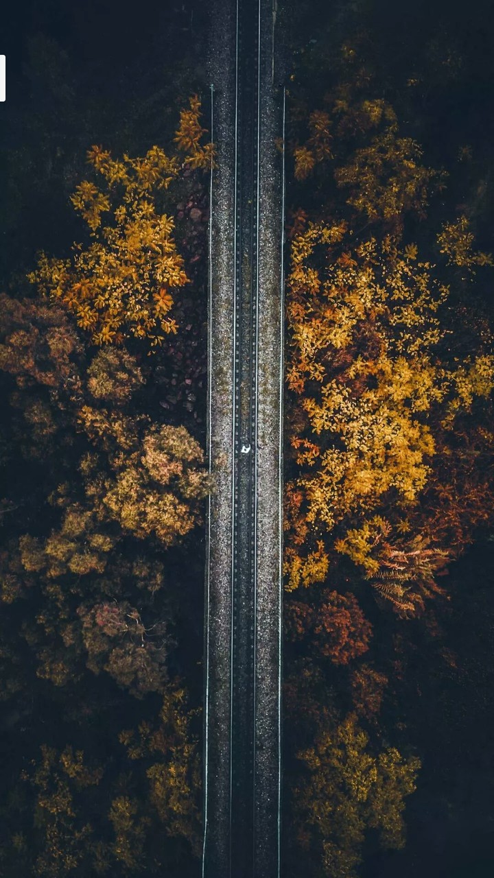 route
