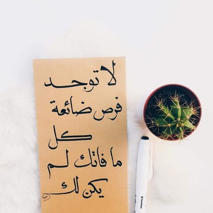 اقتباسات