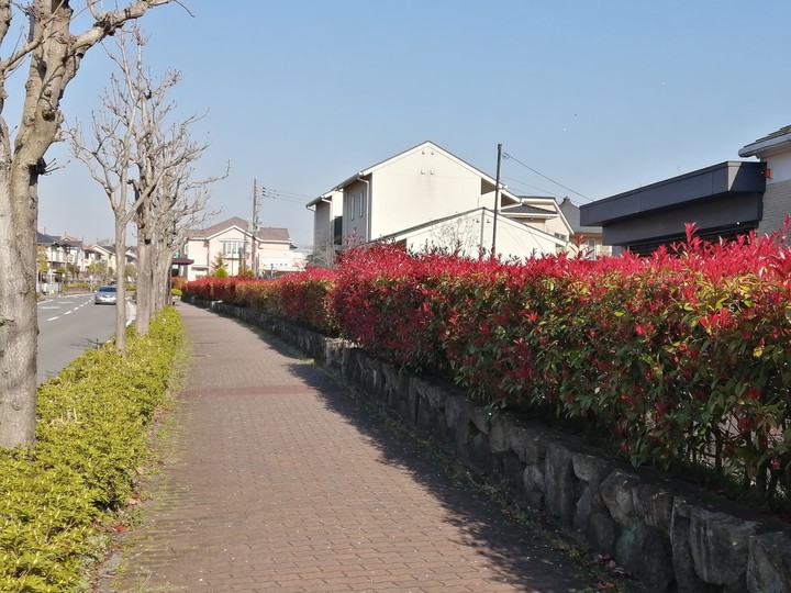 kyoto
