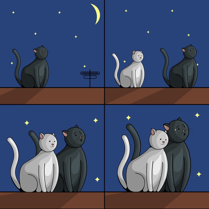 cats