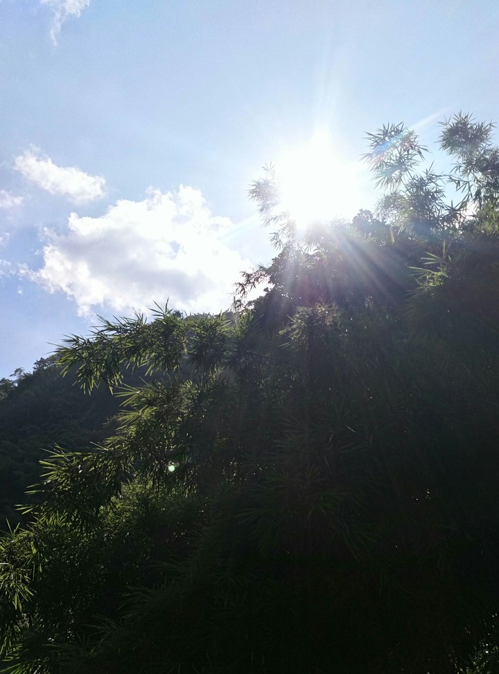 shine