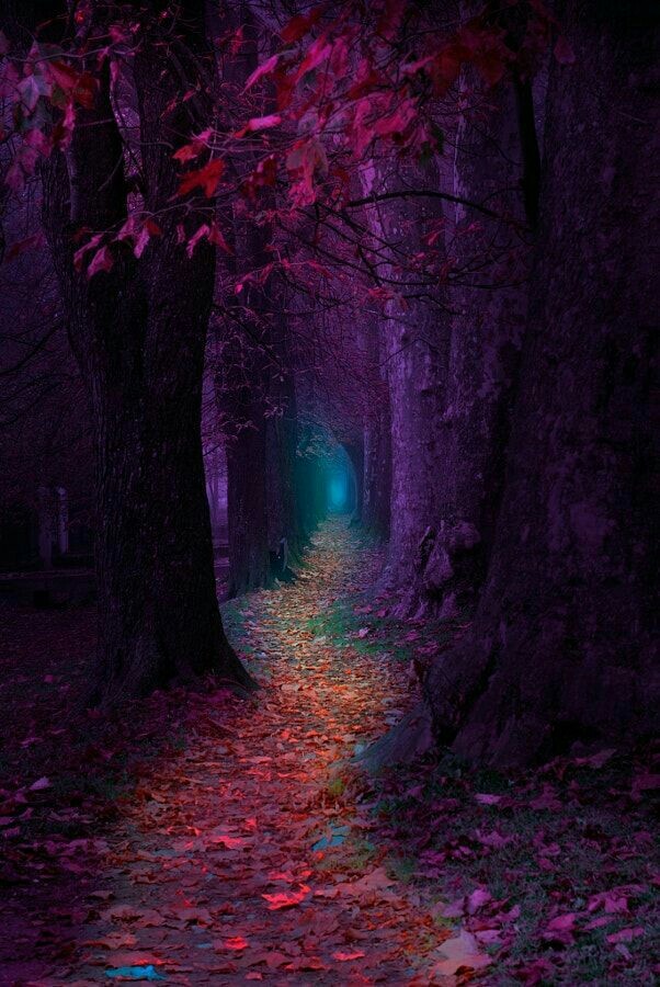Nature