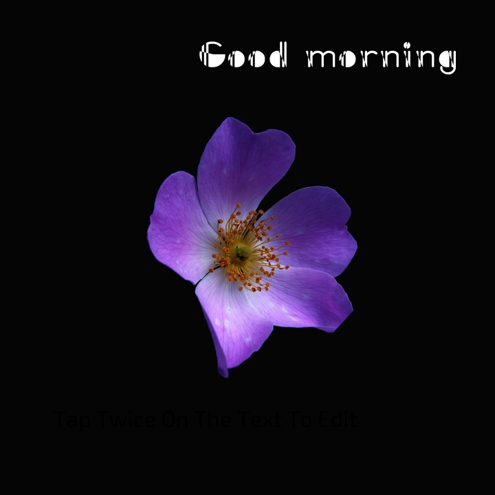 Good morning