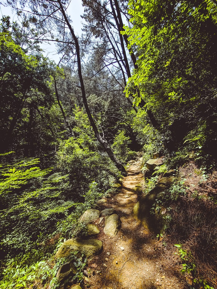 수정산