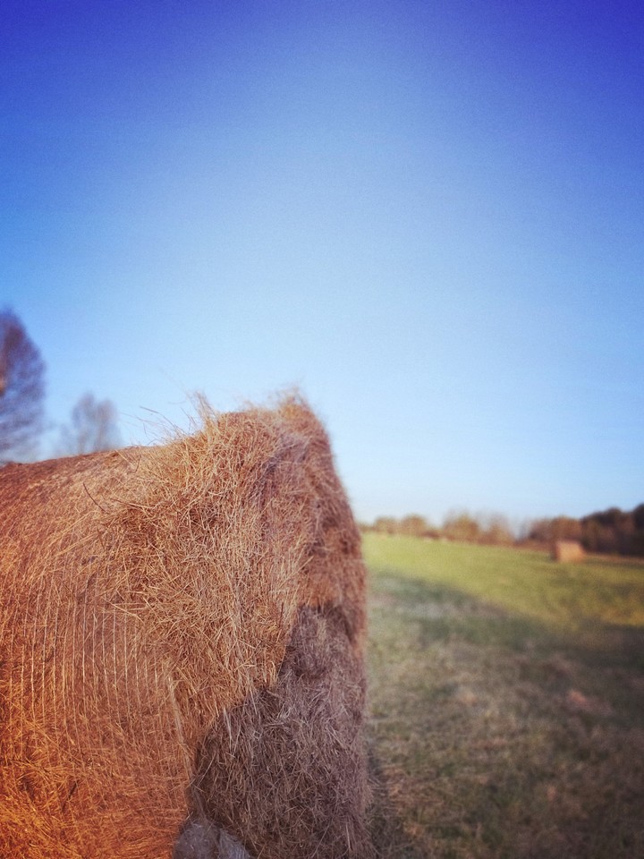 Summer is approaching in the countryside