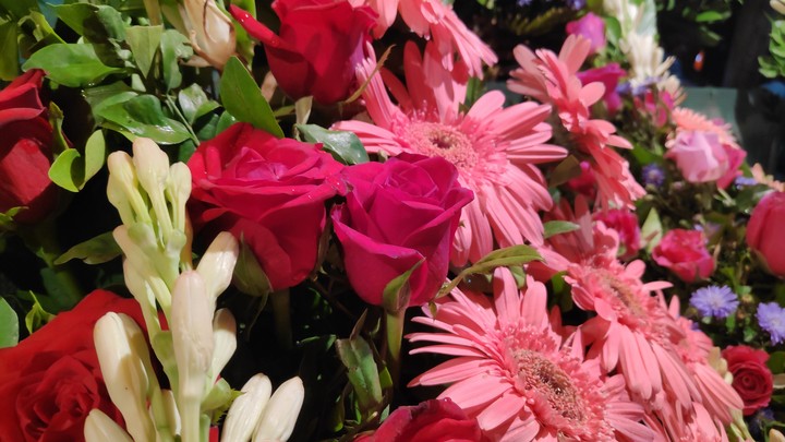 flower