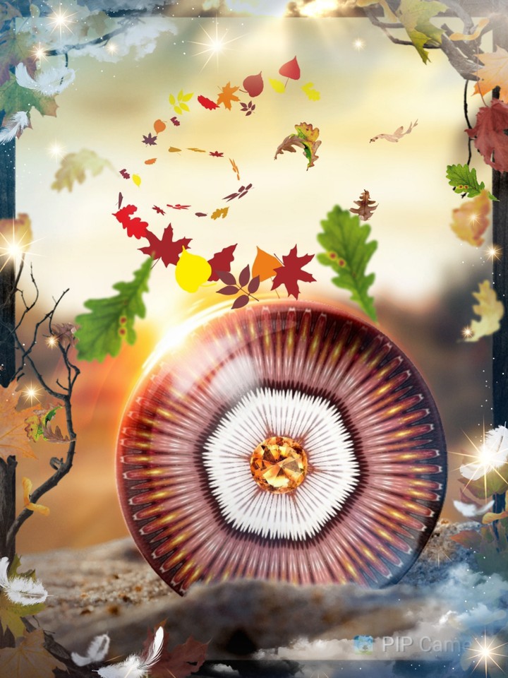Herbst ❤️