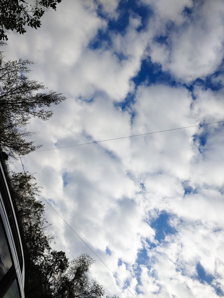 Sky