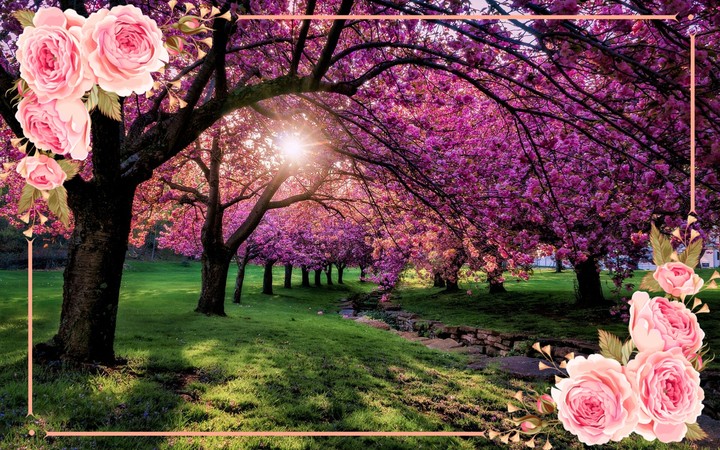 Gorgeous scene