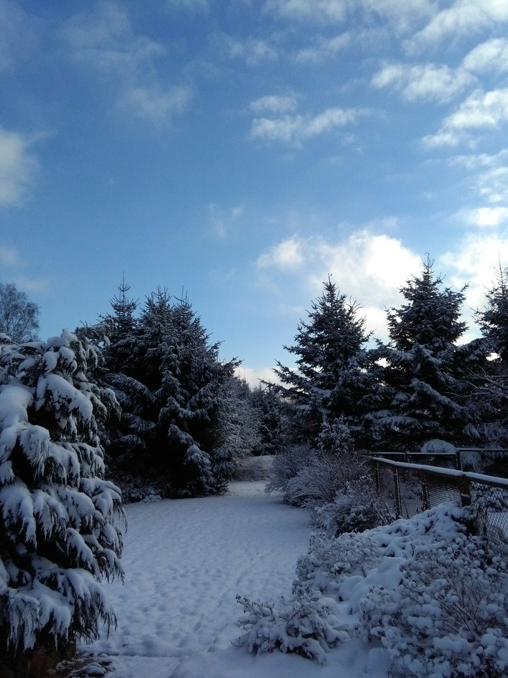 Snow