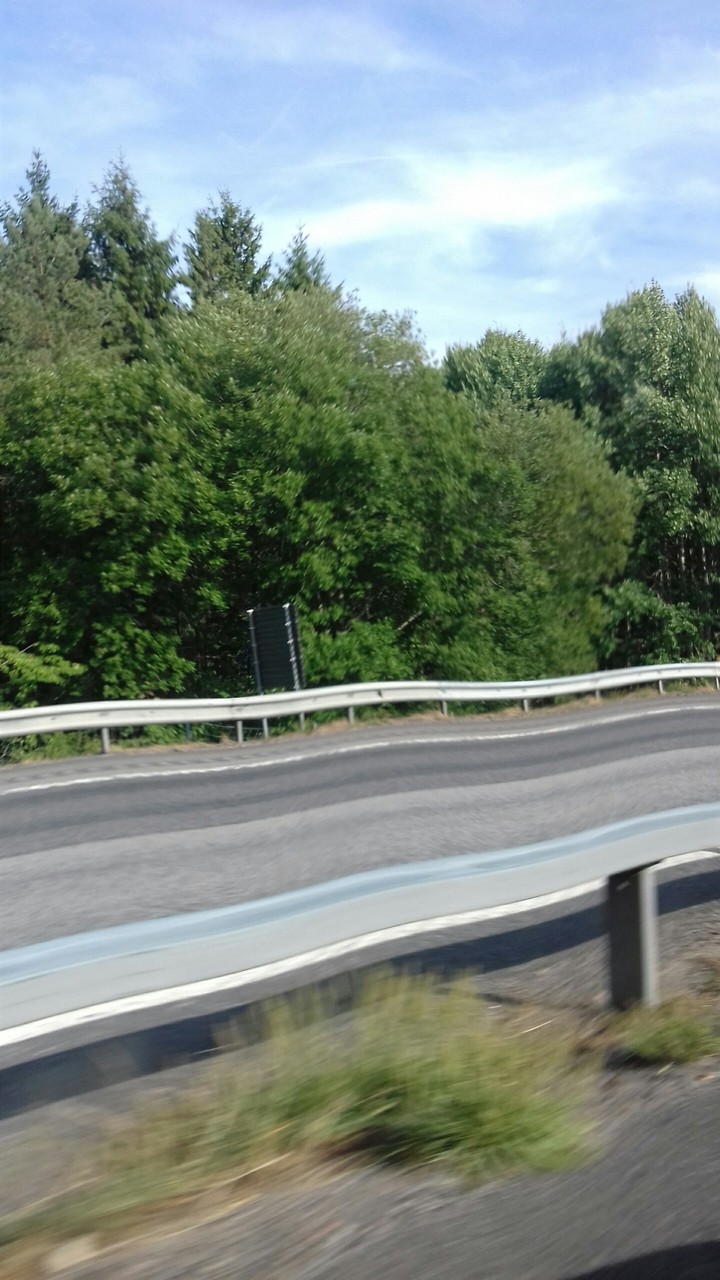 Typical russian road