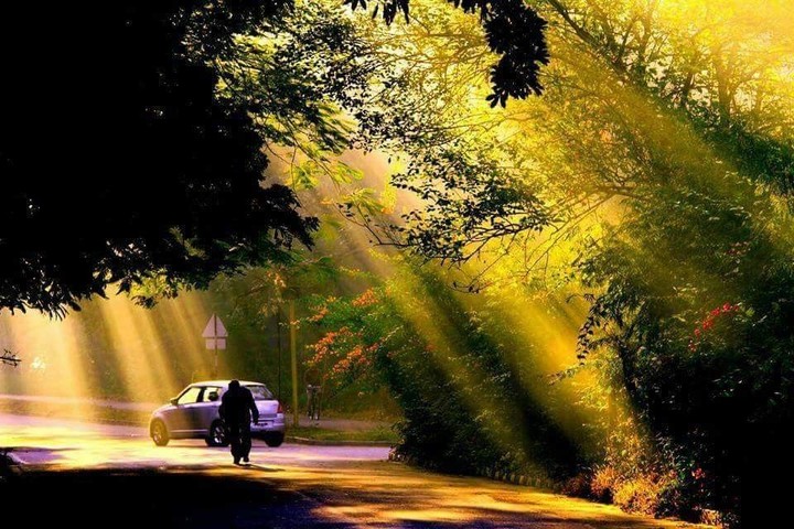 chandigarh (India)