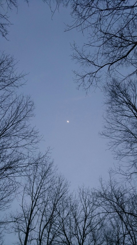 Reaching for the Moon