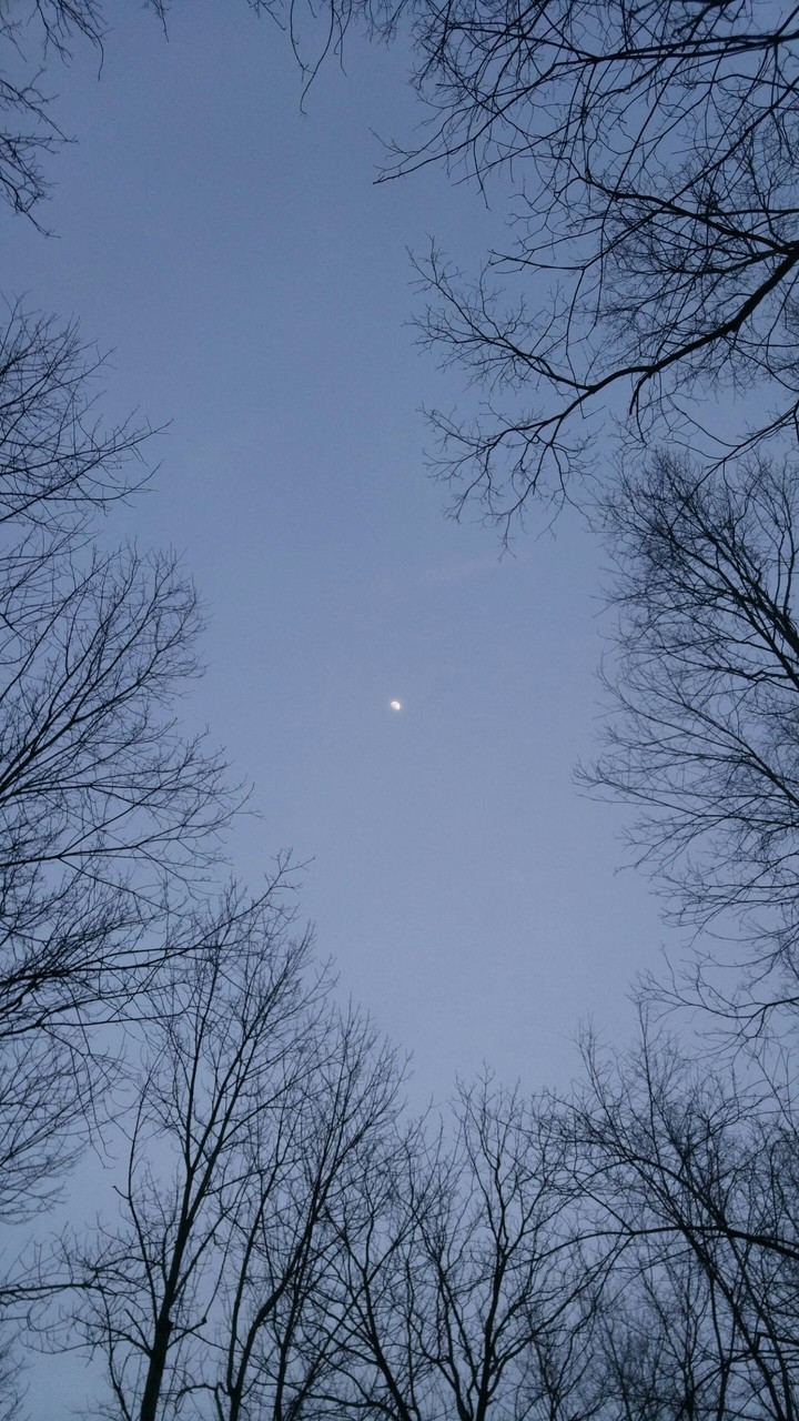 Reaching for the Moon