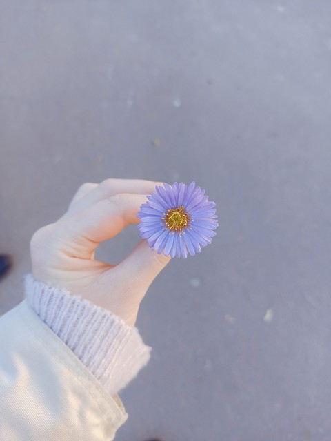 tapety hand, finger