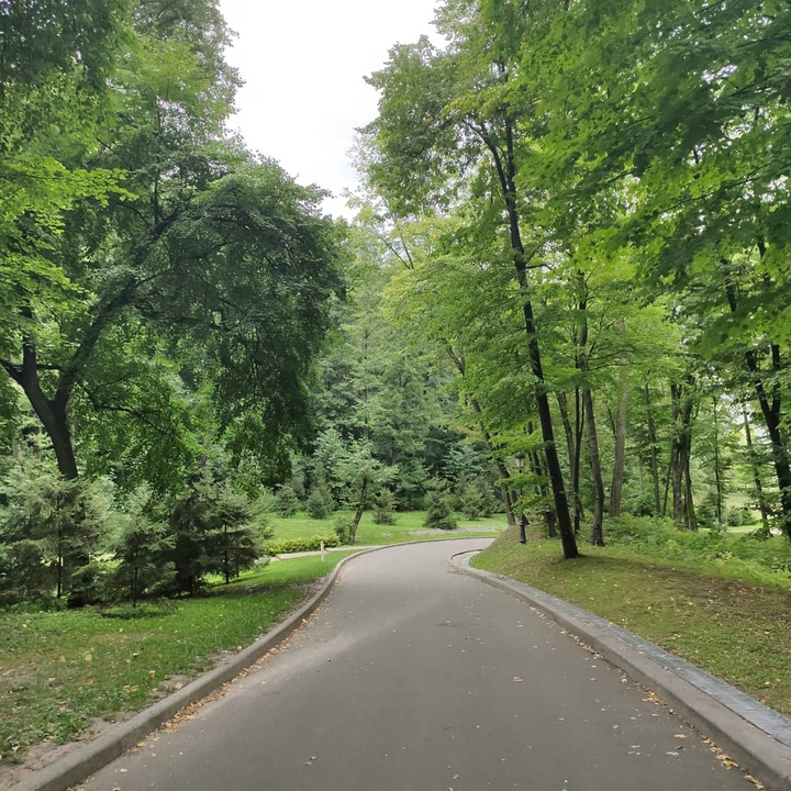 красота