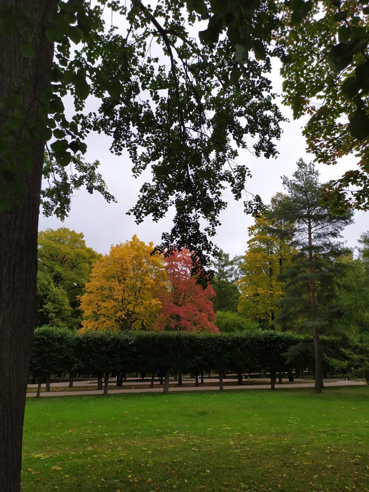 Colours of the garden
