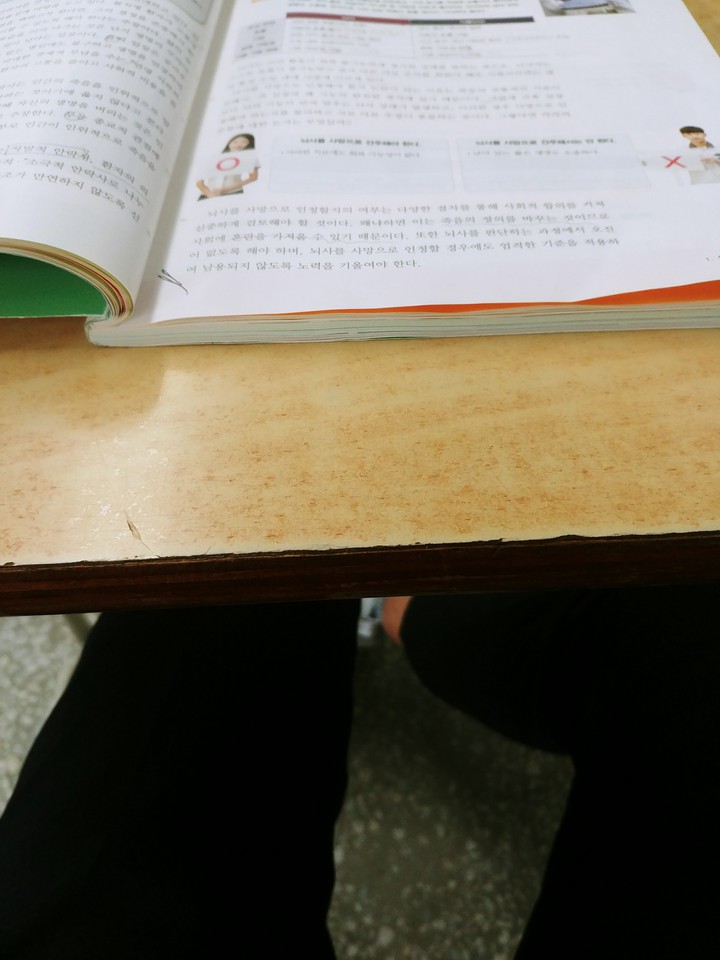 leg