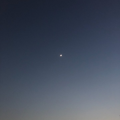 달