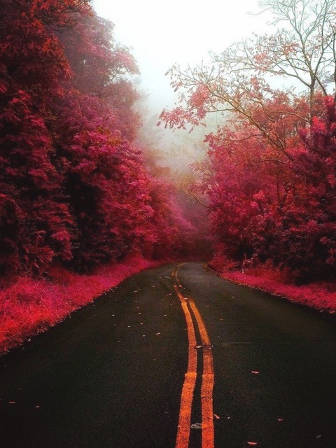 beautiful