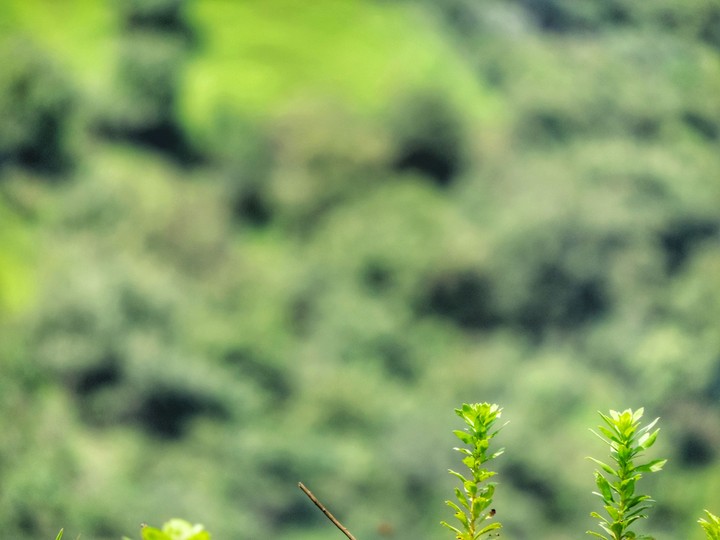 In the company of Nature