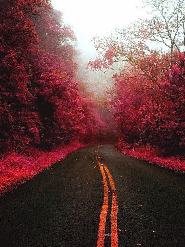 beautiful