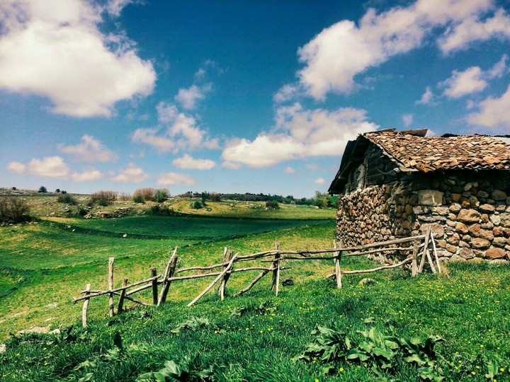 Spring Home