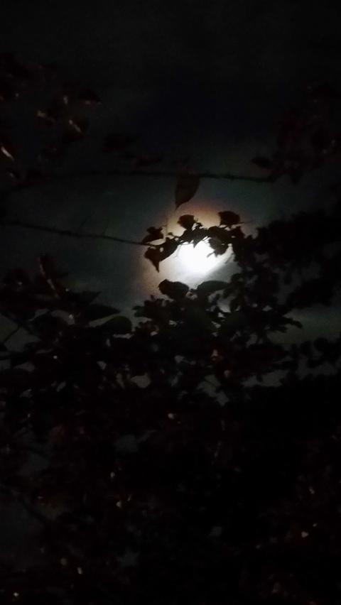 lua linda