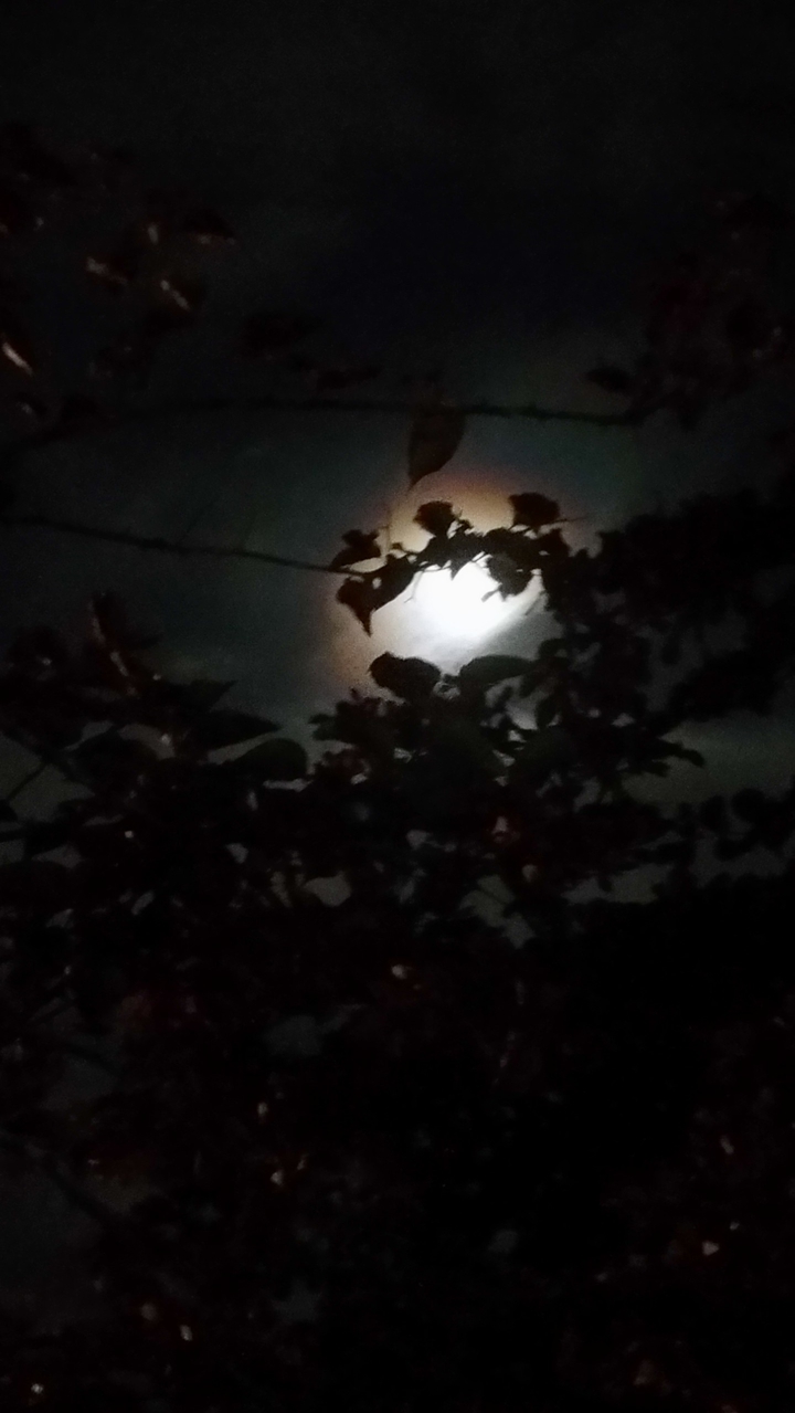 lua linda